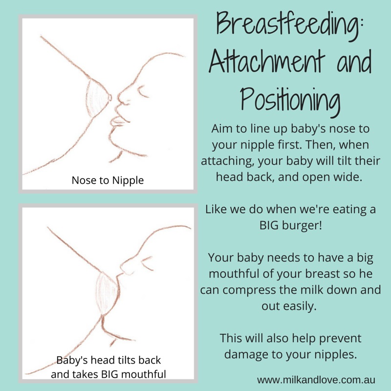 Basic Breast Care While Breastfeeding